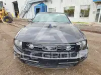2006 Ford MUSTANG фото