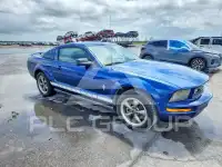 2006 Ford MUSTANG фото