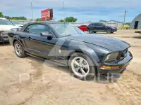 2006 Ford MUSTANG фото