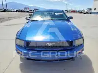 2006 Ford MUSTANG photo