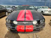 2006 Ford MUSTANG фото
