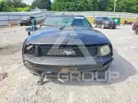 2006 Ford MUSTANG фото