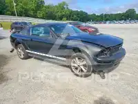 2006 Ford MUSTANG фото