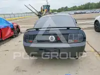 2006 Ford MUSTANG фото
