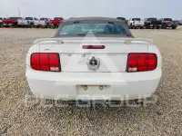 2006 Ford MUSTANG фото