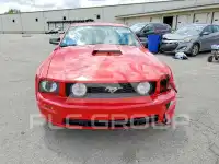 2006 Ford MUSTANG photo