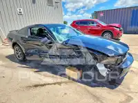 2006 Ford MUSTANG фото