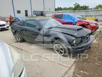 2006 Ford MUSTANG фото
