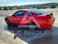 1999 Ford MUSTANG фото