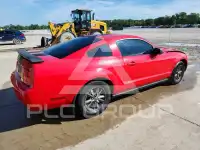 1999 Ford MUSTANG фото