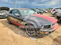 2006 Ford MUSTANG фото