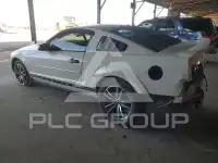 2006 Ford MUSTANG фото