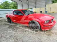 2006 Ford MUSTANG фото