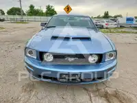 2006 Ford MUSTANG фото