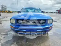 2006 Ford MUSTANG фото