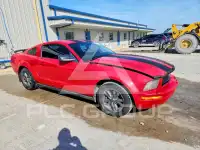 1999 Ford MUSTANG фото