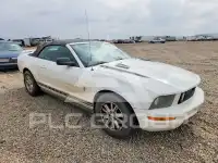 2006 Ford MUSTANG фото