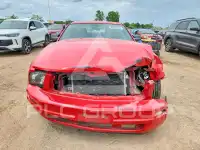 2006 Ford MUSTANG photo