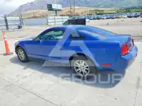 2006 Ford MUSTANG photo