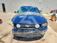 2006 Ford MUSTANG фото