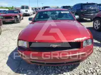 2006 Ford MUSTANG photo