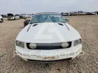 2006 Ford MUSTANG фото