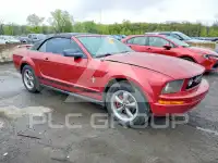 2006 Ford MUSTANG фото