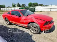 2006 Ford MUSTANG photo