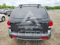 2006 Hyundai Santa Fe photo