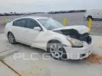 2007 Nissan MAXIMA photo