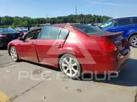 2007 Nissan MAXIMA photo