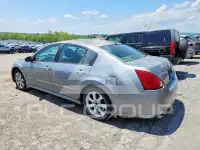 2007 Nissan MAXIMA photo