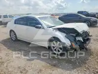 2007 Nissan MAXIMA photo