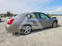 2007 Nissan MAXIMA фото