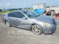2007 Nissan MAXIMA фото