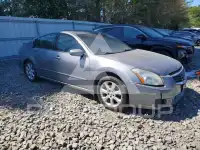 2007 Nissan MAXIMA photo