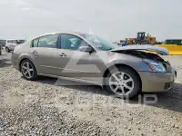 2007 Nissan MAXIMA фото