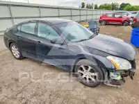 2007 Nissan MAXIMA photo