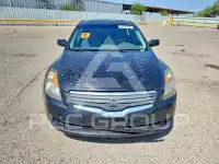 2007 Nissan ALTIMA фото