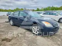 2007 Nissan ALTIMA фото