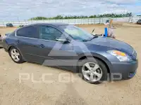 2007 Nissan ALTIMA фото