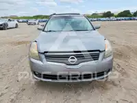2007 Nissan ALTIMA фото