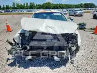 2007 Nissan MAXIMA photo