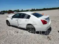 2007 Nissan MAXIMA photo