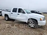 2007 Dodge DAKOTA photo
