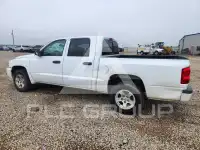2007 Dodge DAKOTA photo
