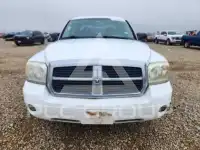 2007 Dodge DAKOTA photo