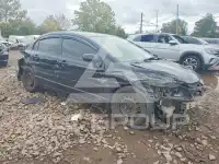 2007 Honda CIVIC фото