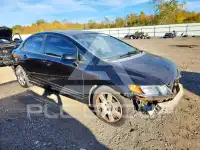2007 Honda CIVIC фото
