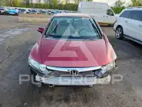 2007 Honda CIVIC фото